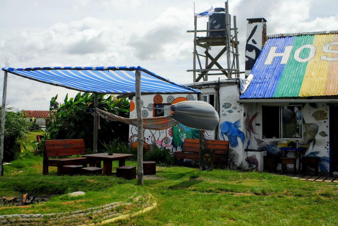 Viejo Lobo Cabo Polonio Exterior foto